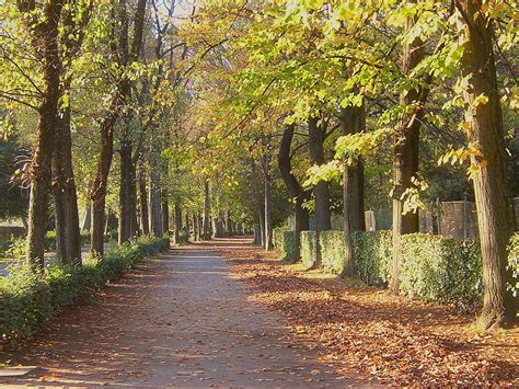 the cascine park florence